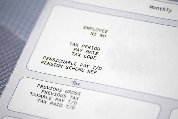 data fields in a payslip